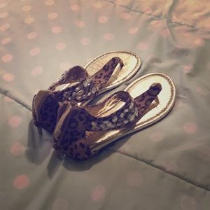 Justice cheetah sanders